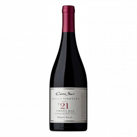 Wino Cono Sur Single Vineyard Pinot Noir Chile 14% czerwone wytrawne 750 ml